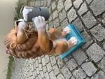 waren