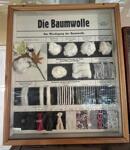 waren