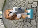 waren