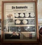 waren